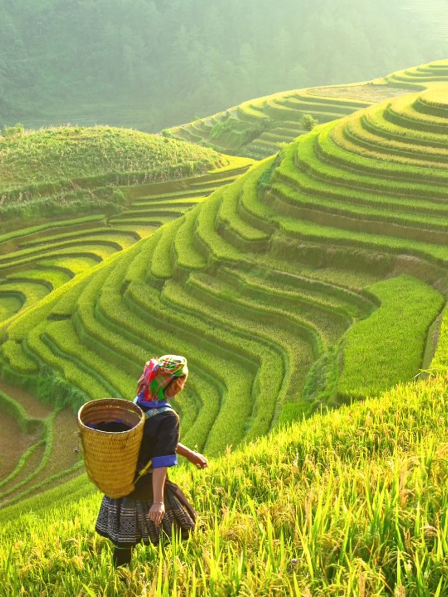 mu-cang-chai